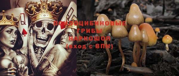 крисы Няндома