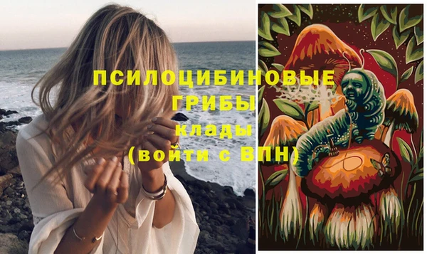 крисы Няндома