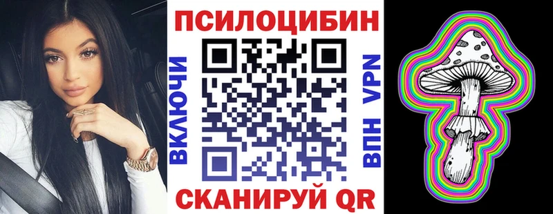 kraken вход  Чекалин  Псилоцибиновые грибы Cubensis 